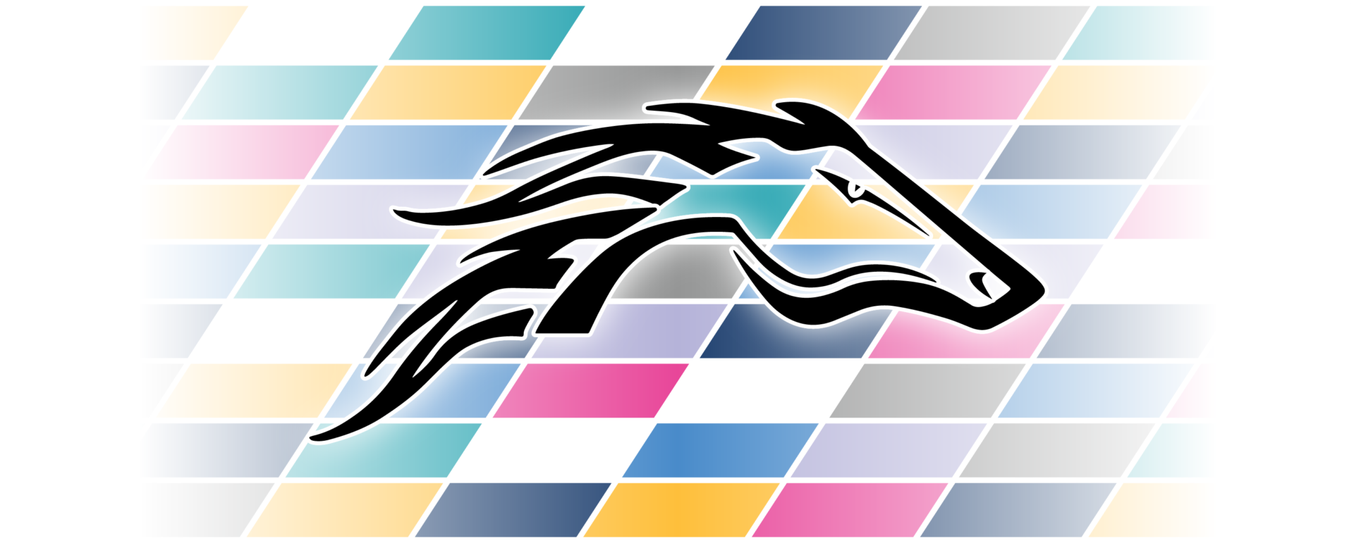 PHS Cancer Awareness